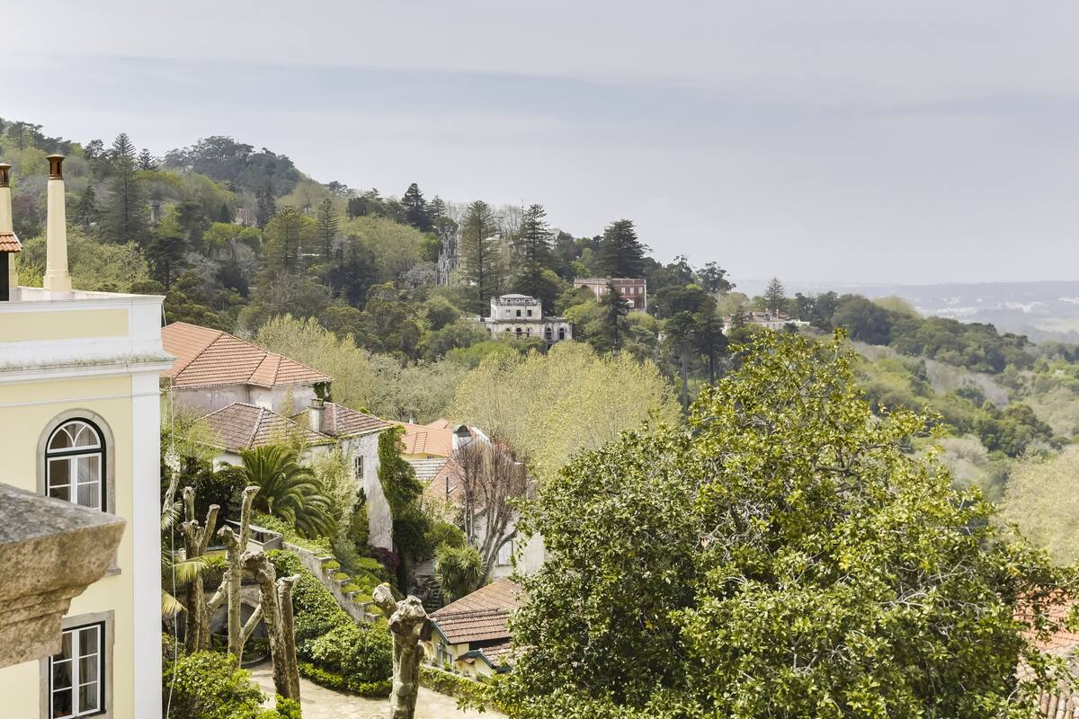 Un quartier résidentiel situé sur une colline, avec des bâtiments entourés d’une végétation luxuriante et d’arbres.