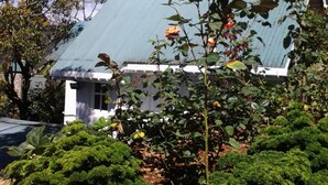 A house with a green roof, surrounded by lush greenery and a garden. - Sincere Wilderness (Nuwara Eliya)