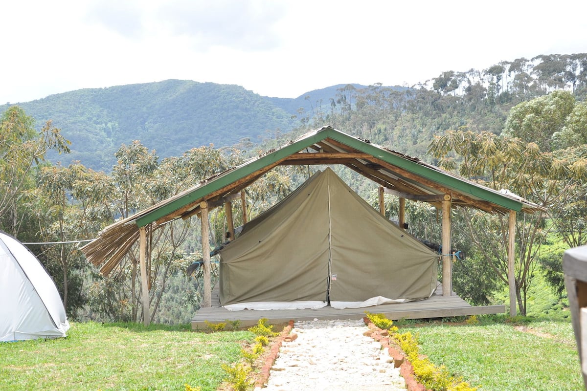 Panoramic Tent, 2 Single Beds | Pillow-top beds, in-room safe, iron/ironing board (on request)