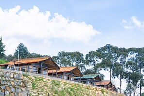 全景雙人房, 1 張加大雙人床, 壁爐, 山景 | 舒適加層、客房內保險箱、獨特裝潢、布置獨特