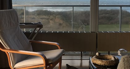 Vue époustouflante sur les dunes et la mer