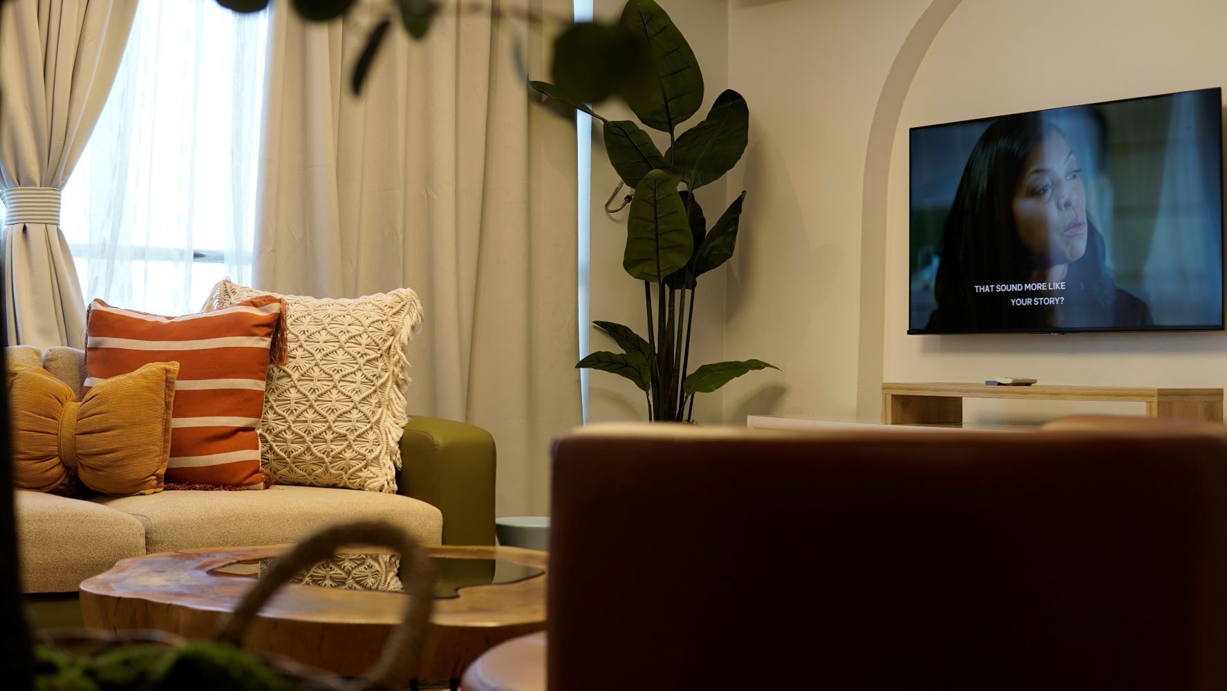 A living room with a sofa, cushions, a television, and a plant.
