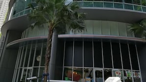Un edificio moderno con varias ventanas de cristal curvas y una palmera en primer plano.