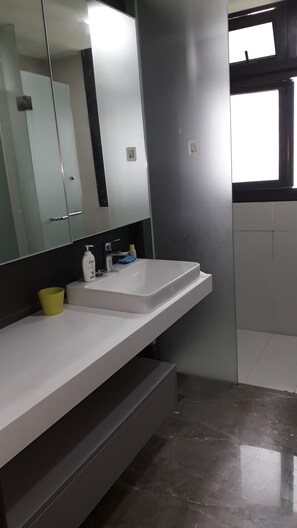 Regadera, amenidades de baño gratuitas, secadora de cabello, toallas 