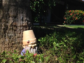 Details aan de buitenkant