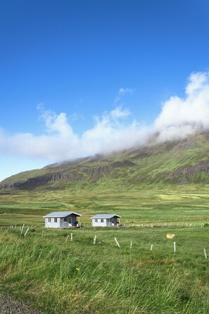 A rural landscape with two small houses, a grassy field, and a mountain in the background. - Urðartindur Guesthouse (Nordurfjordur)