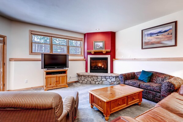 Smart TV, fireplace, DVD player, books