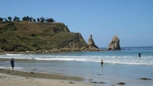 A beach with rocky formations and people in the water. - The Pink Pipi Karitane (Karitane)