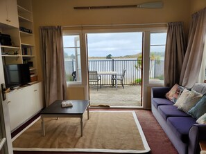 Smart TV, fireplace, DVD player, books