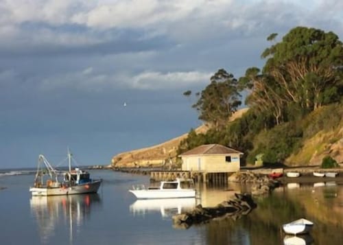 Le Pipi Karitane Rose