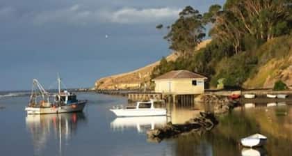 Le Pipi Karitane Rose