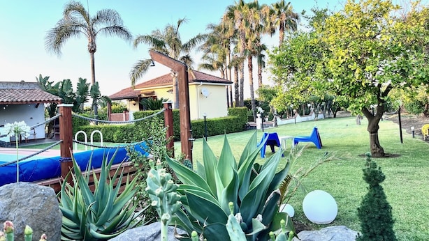 Un jardin bien entretenu, avec une piscine, des palmiers et une maison au toit rouge.