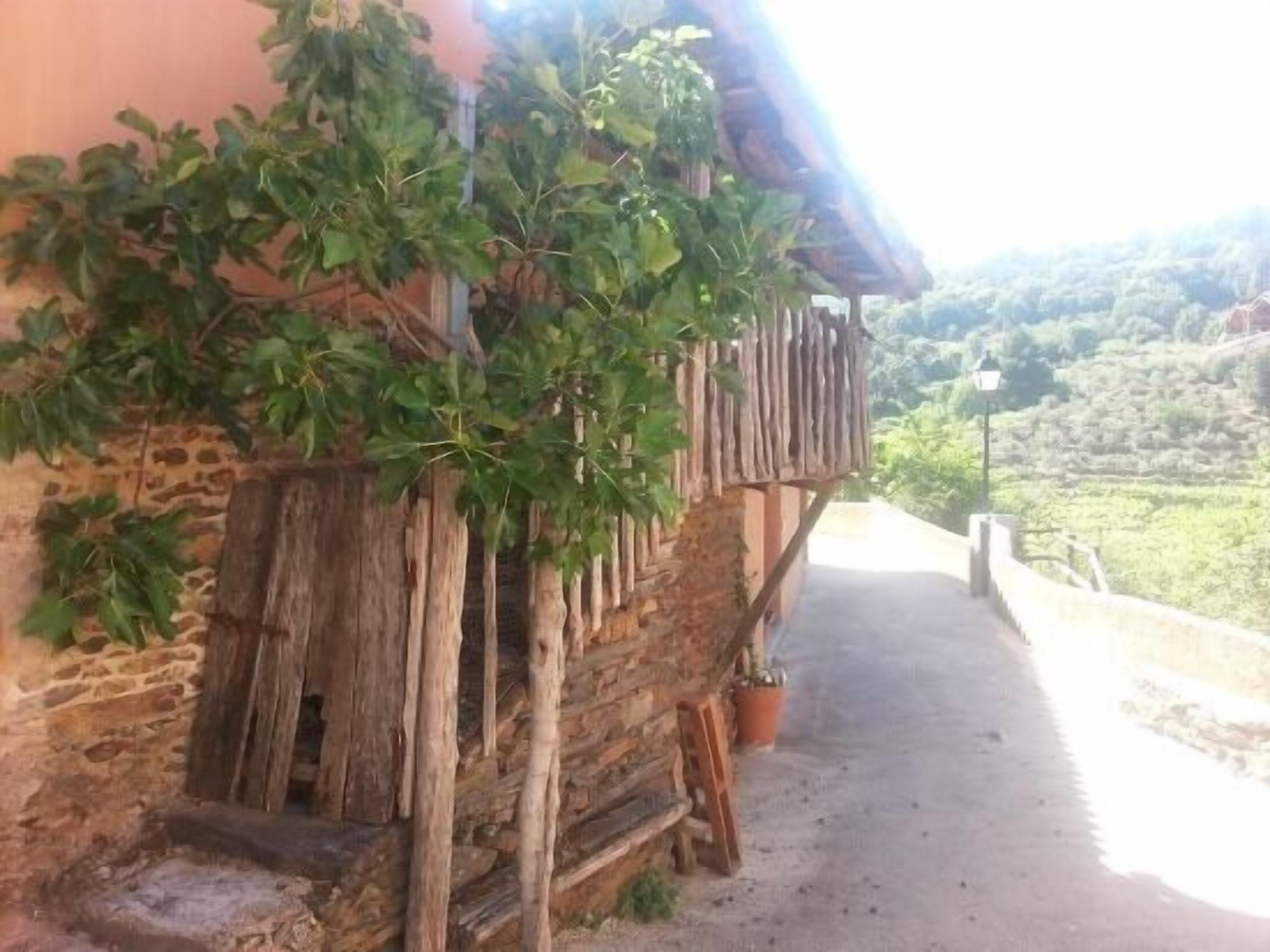 A rustic stone building with a wooden balcony and a potted plant.