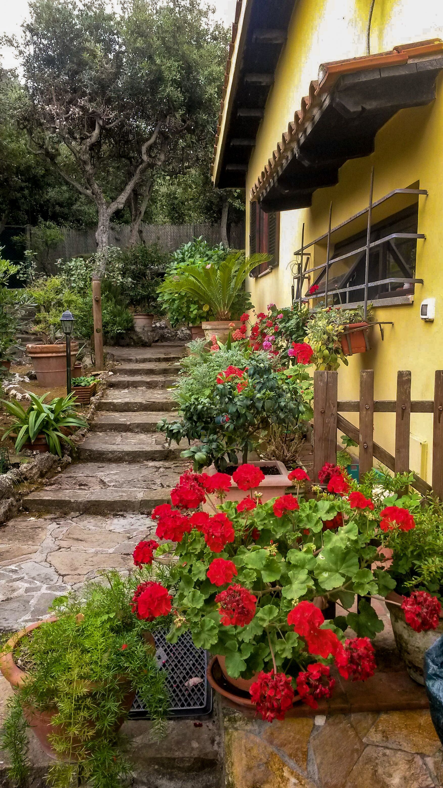 Overnattingsstedets uteområder