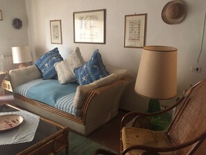 Télévision, cheminée, lecteur de DVD, livres