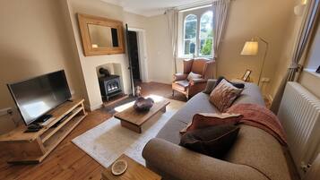 Televisio, takka, DVD-soitin, kirjoja