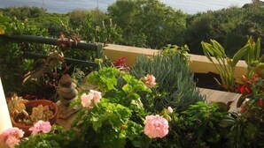 Ein Garten mit verschiedenen Pflanzen und Blumen, einem Kiesweg und Blick auf das Meer.