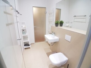 Ducha, secador de pelo, toallas, jabón