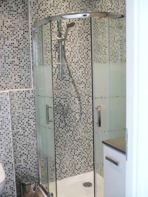 Shower, hair dryer, towels, toilet paper