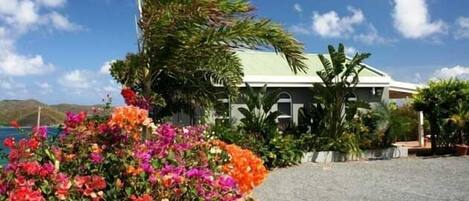 Un edificio con techo verde, rodeado de plantas y flores tropicales.