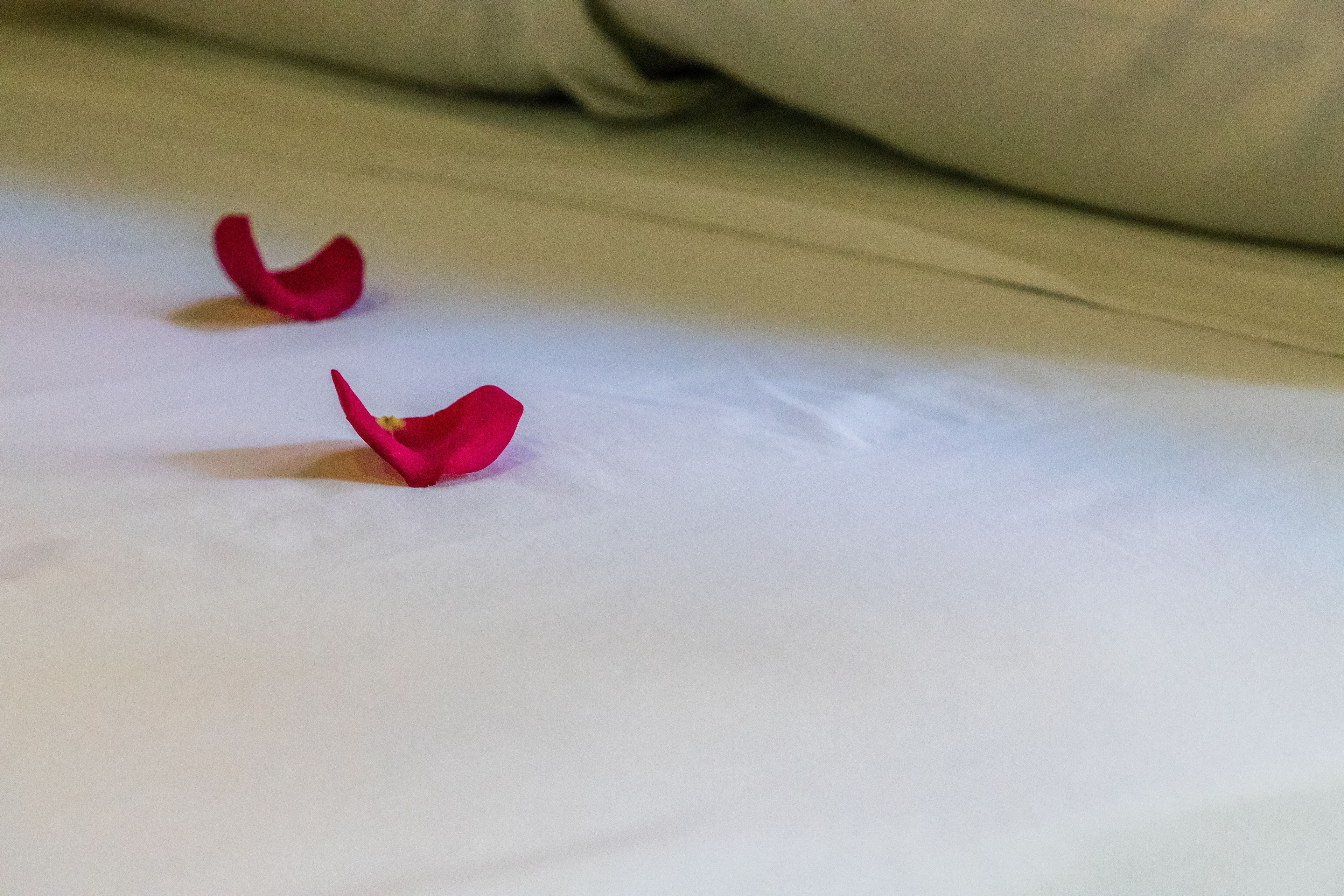 Photo - Moonshine Hotel