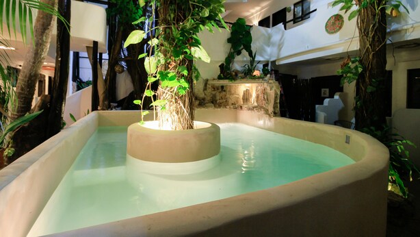 A large indoor water feature with a central tree, surrounded by lush greenery and stone walls. - Moonshine Hotel (Playa del Carmen)