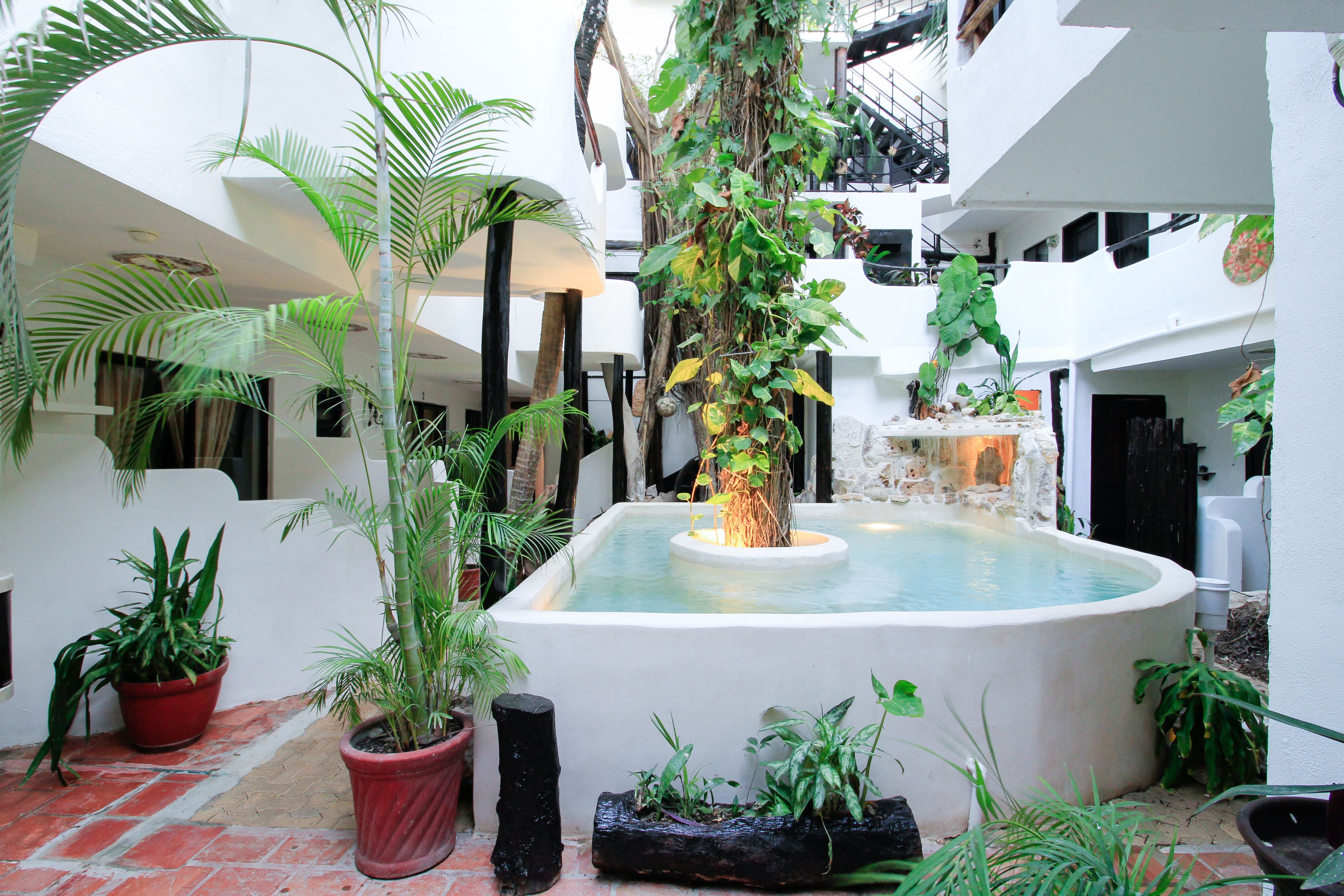 Photo - Moonshine Hotel