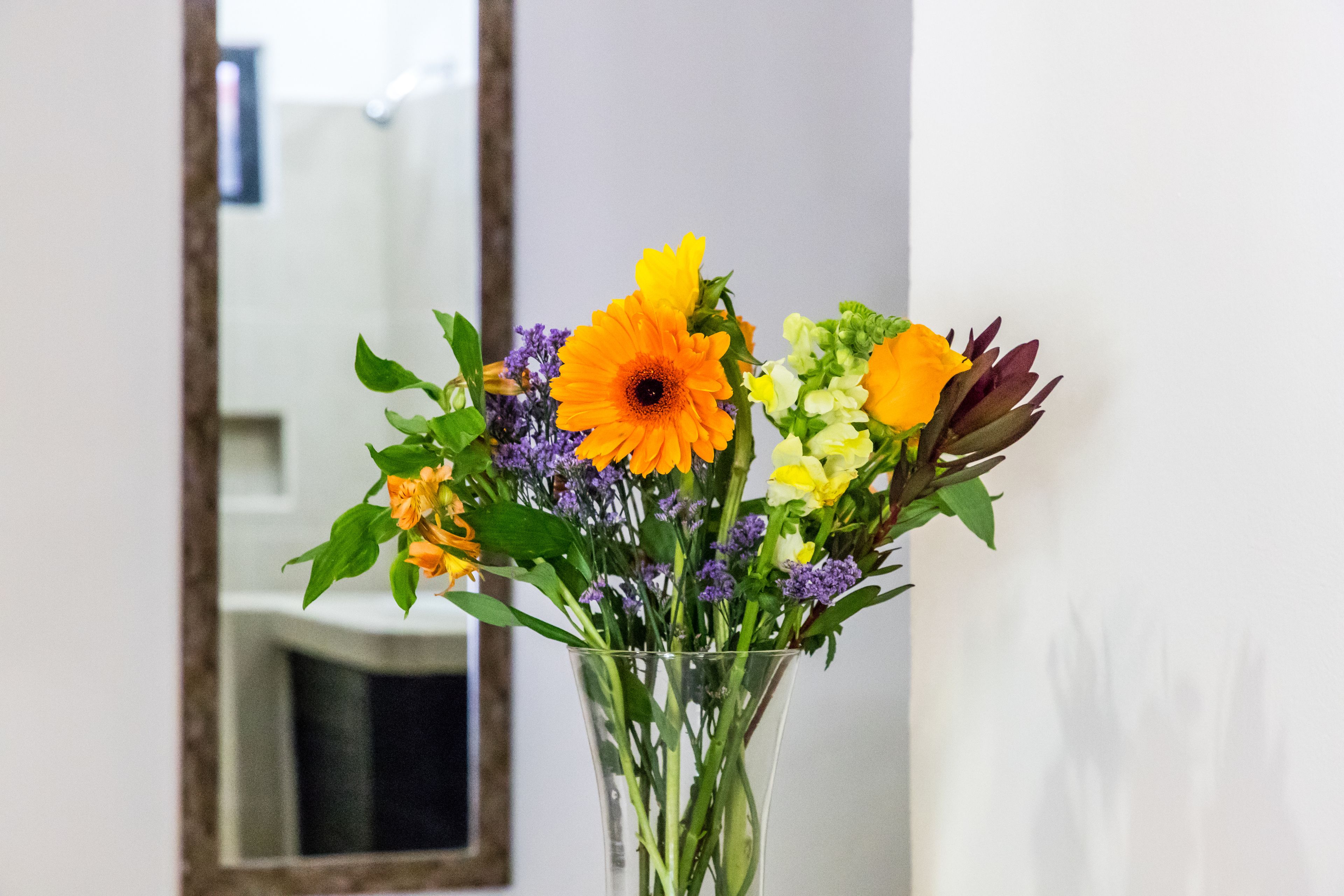 Photo - Moonshine Hotel