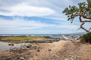 Plage, chaises longues, serviettes de plage