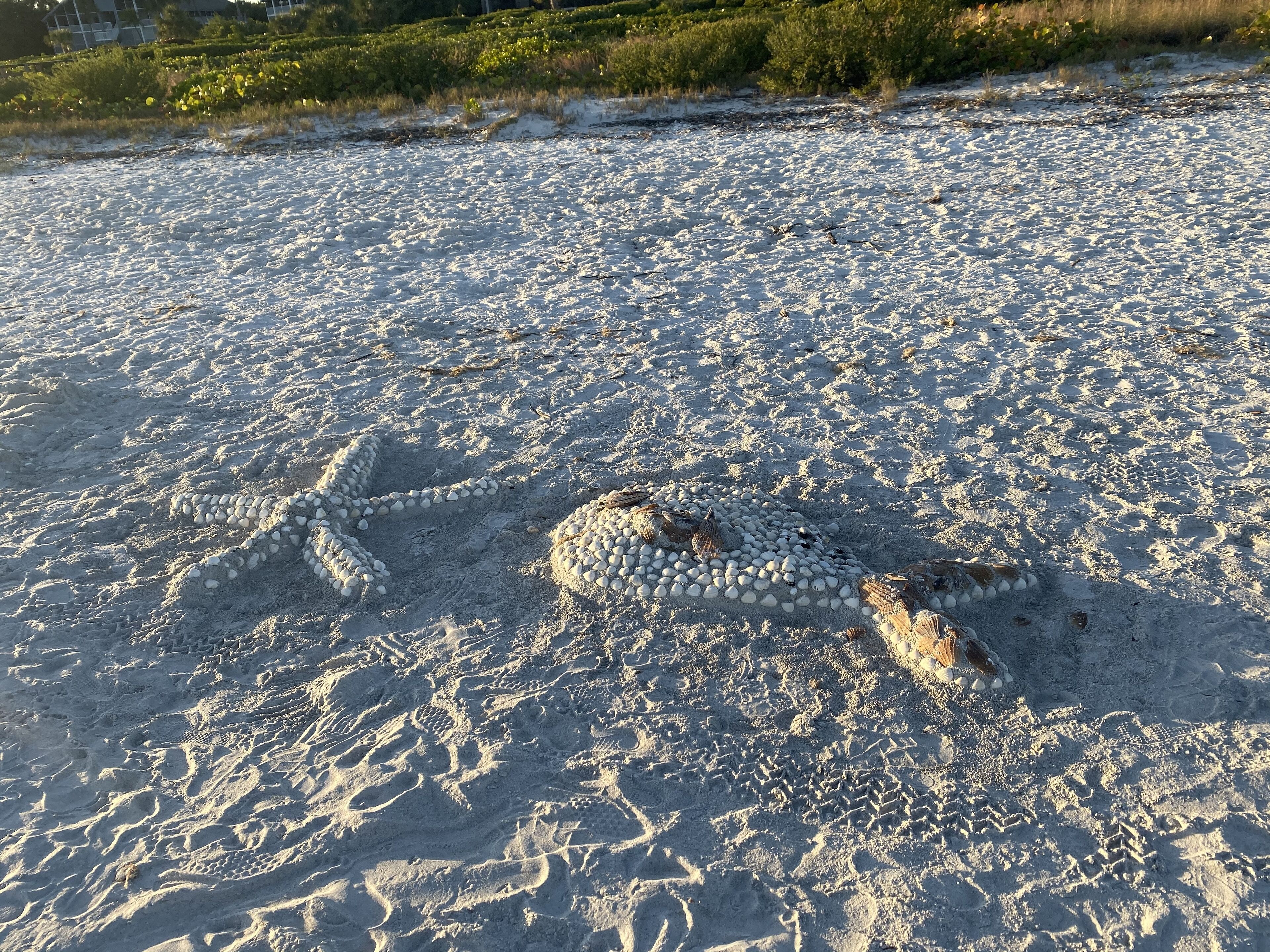 A sandy beach with footprints and a snake-like pattern of stones.