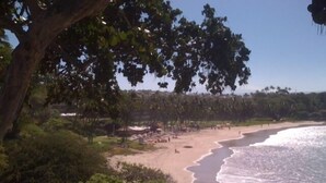 A beach with trees and a clear sky. - Oceanfront Hawaiian-style Beach House (Waimea)