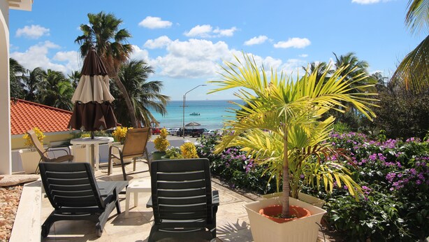 Un patio con mobiliario exterior, una palmera y vista al océano.