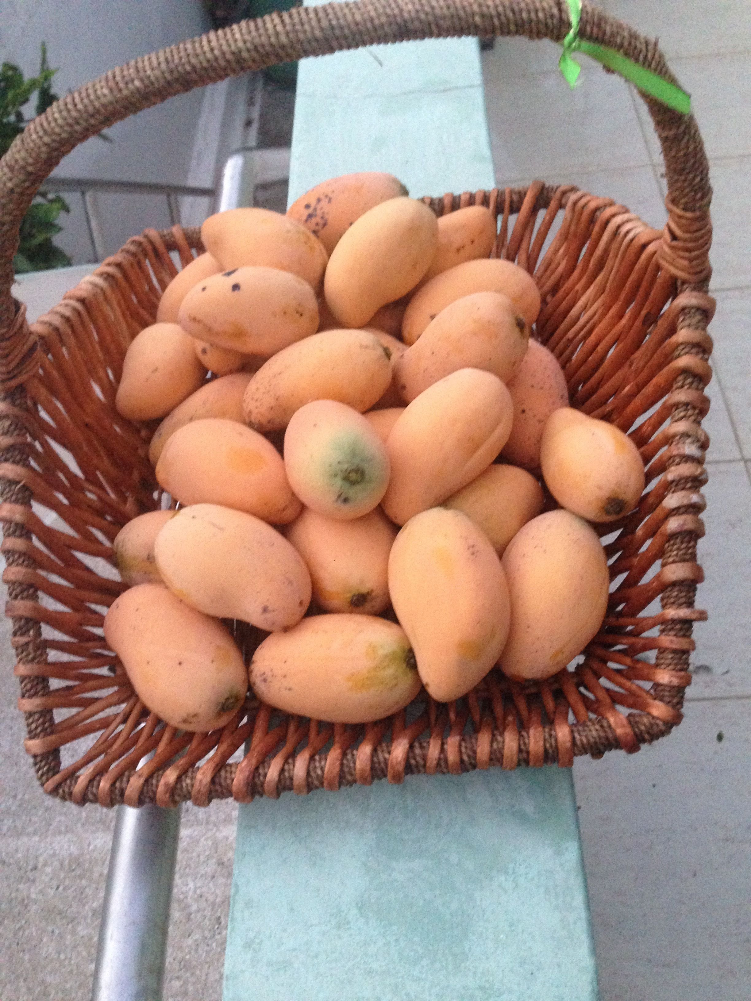 Foto - Hotel Costa Verde