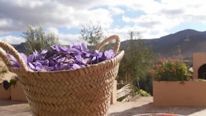 Un panier tressé rempli de fleurs violettes, placé sur un fond représentant un paysage montagneux et un bâtiment doté d’arcades.