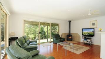 TV, fireplace, DVD player, books