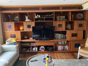 Smart TV, fireplace, DVD player, books