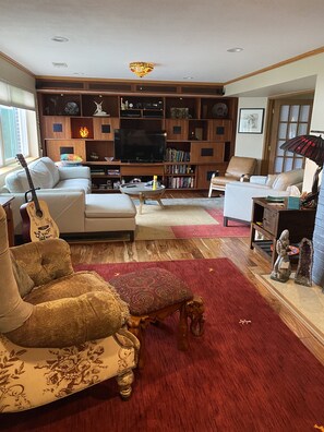 Smart TV, chimenea, reproductor de DVD y libros 