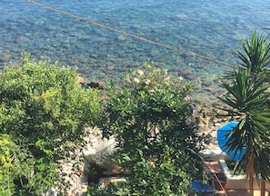 Property grounds - Casa delle Galee - Garden on the Sea (Scilla)