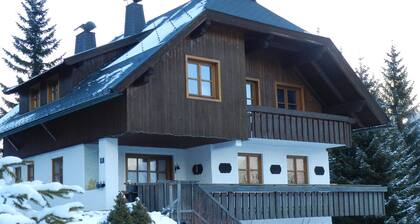 Vacation apartment NOCKALM on the ski slope