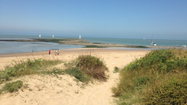 A sandy beach with sparse vegetation, a clear sky, and a calm sea.