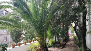 Un estrecho sendero de piedra bordeado de exuberante vegetación y plantas en macetas, que conduce a un edificio blanco con balcón.