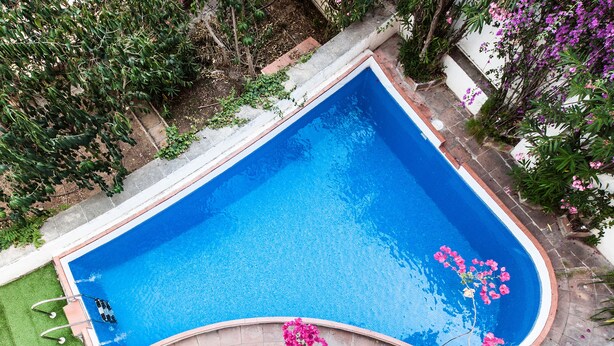Una piscina rectangular con borde curvo, rodeada por un marco de ladrillo y abundante vegetación.