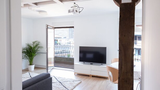A modern living room with a flat-screen TV, a sofa, a coffee table, and a potted plant. - SAN SEBASTIAN TRAIN & BUS STATION TOURIST FLAT (DONOSTIA)