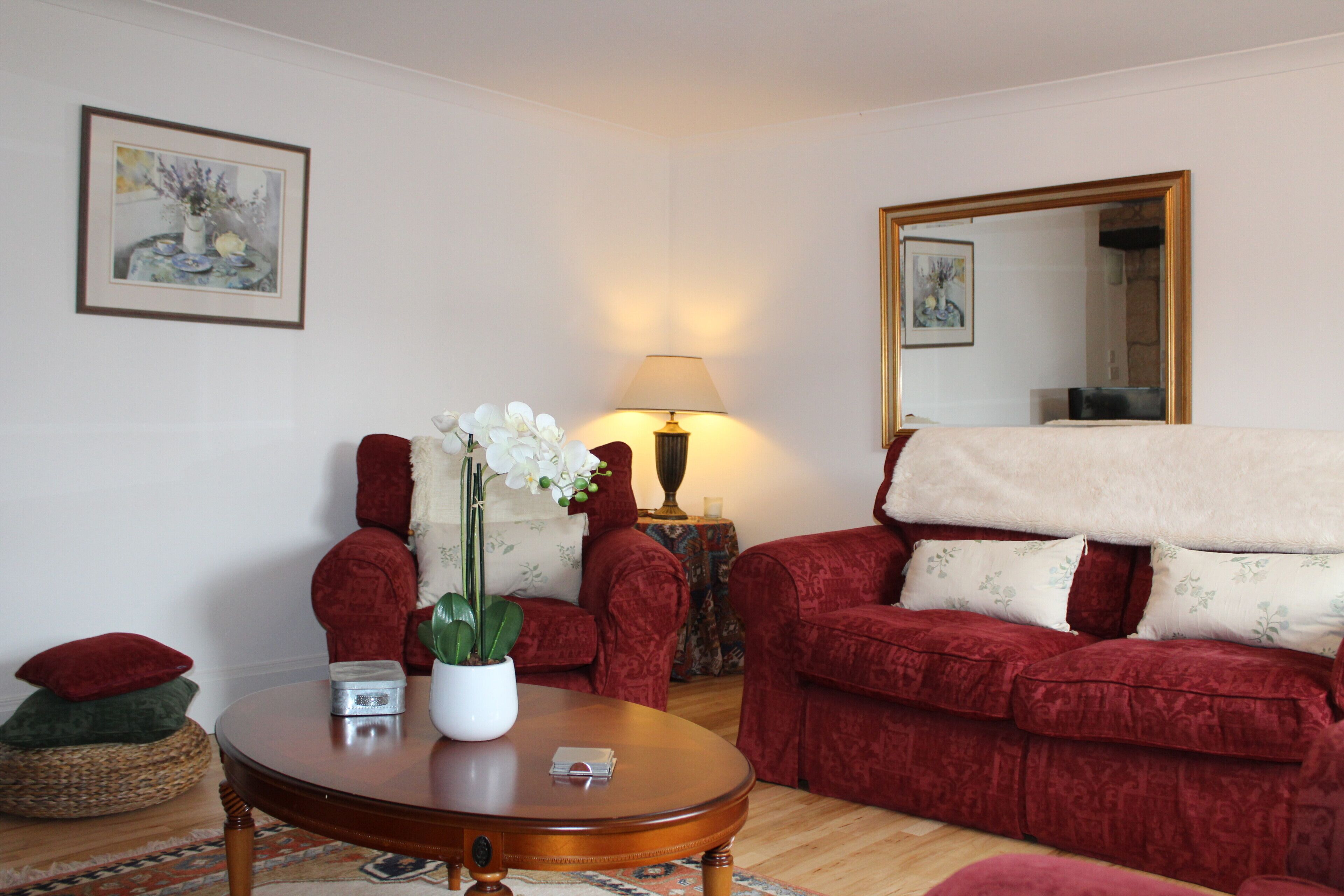 Smart TV, DVD player, books