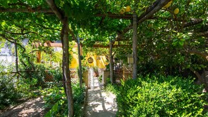 Un chemin de jardin agrémenté d’une pergola, entouré d’une végétation luxuriante et avec un mur jaune en arrière-plan.
