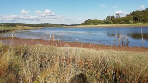 Un lago tranquilo con orillas cubiertas de hierba y cielo despejado.