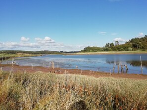 Un lac paisible, aux rives verdoyantes, sous un ciel dégagé.