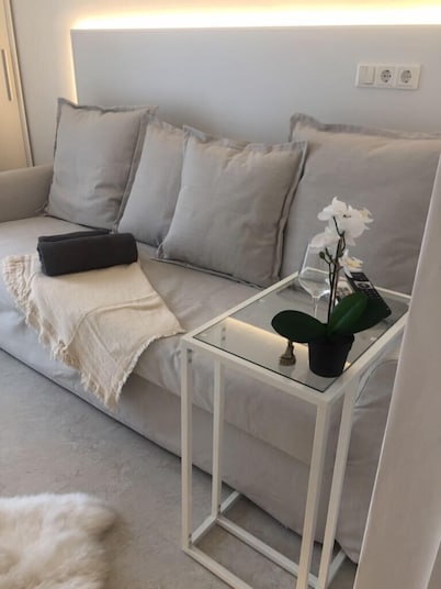 W-Lan, kitchenette, bathroom, shower, sofa bed, smart TV