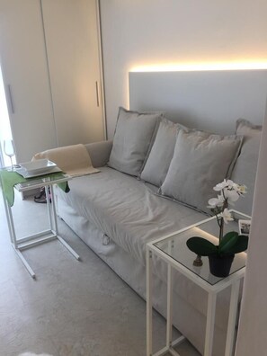 تلفزيون ذكي، مشغل دي في دي