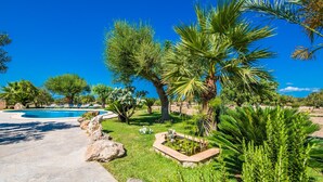 Ein Pool, umgeben von üppigem Grün und Palmen, mit blauem Himmel.